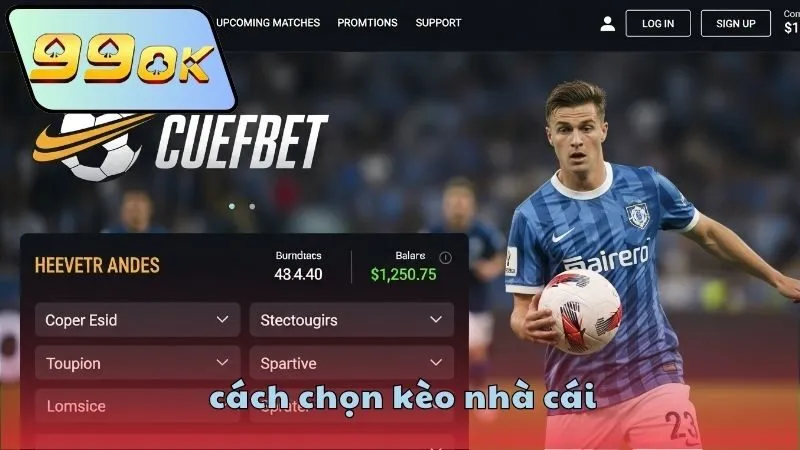 cach-chon-keo-nha-cai